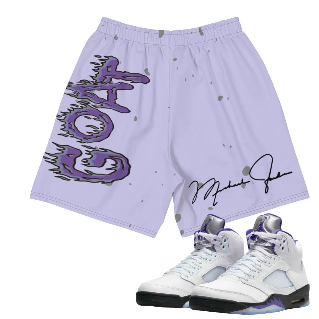 Retro 5 Concord Shorts